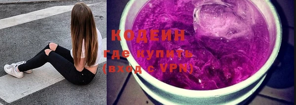 индика Абинск