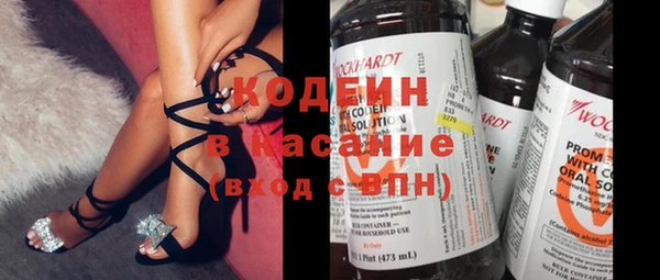 индика Абинск