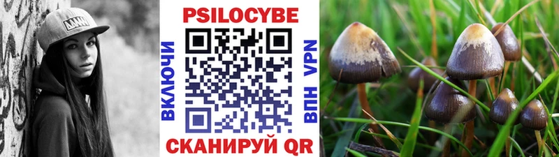 Галлюциногенные грибы Cubensis Азов